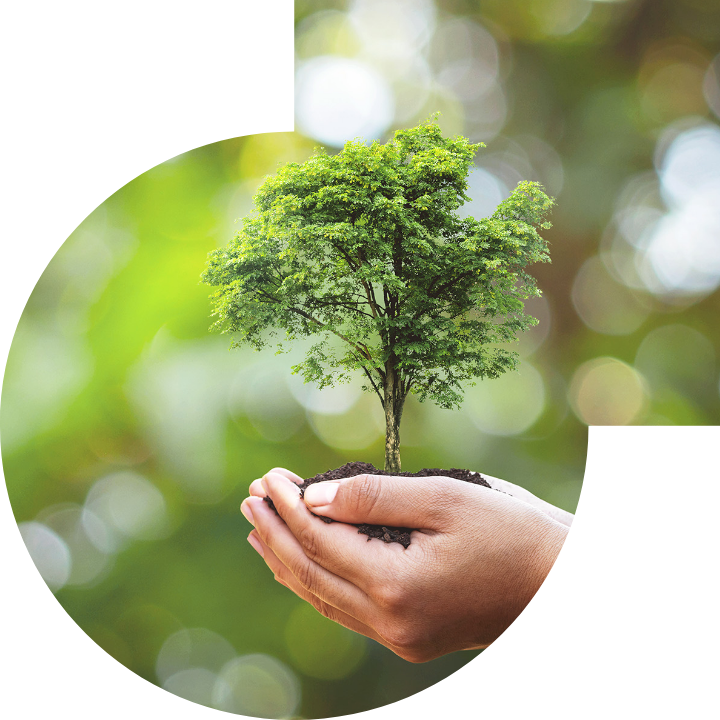 關懷人類、文化、環境與社會